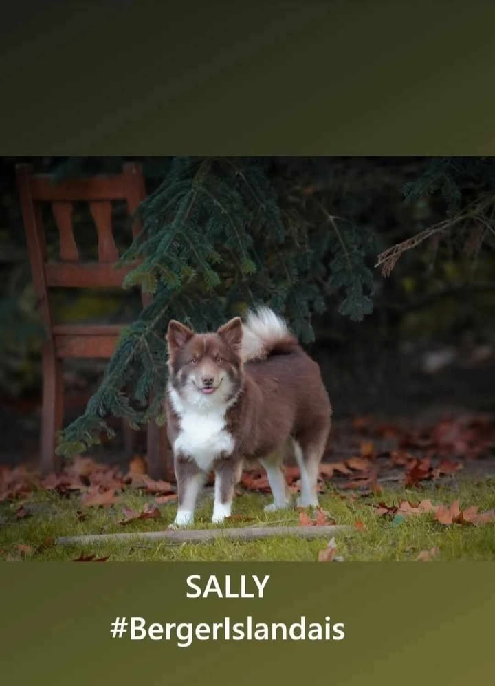 SALLY VON MAERTENSHOF